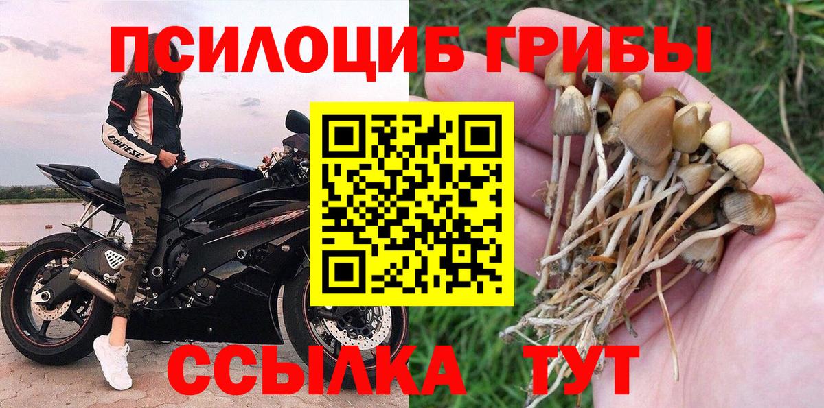 Псилоцибиновые грибы Psilocybe  Вход с VPN  Архангельск  Псилоцибиновые грибы MAGIC MUSHROOMS 