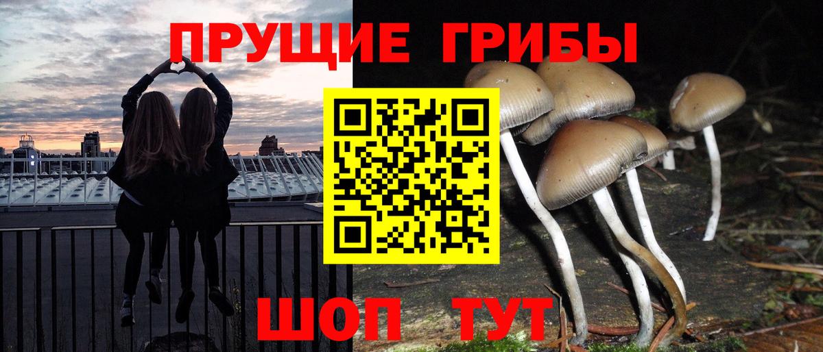 Псилоцибиновые грибы ЛСД Архангельск